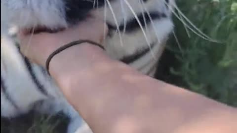 Hi!