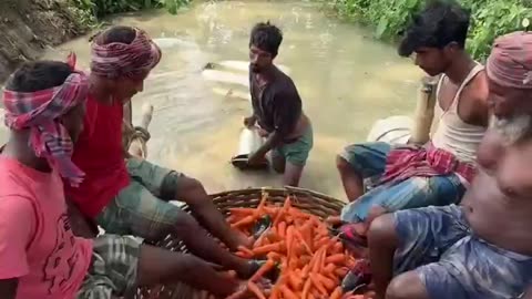 Always wash the vegetables and fruits before consuming