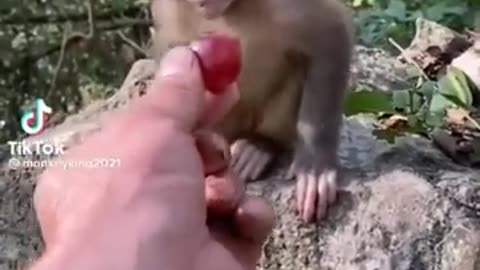 Amazing cute baby animal!!