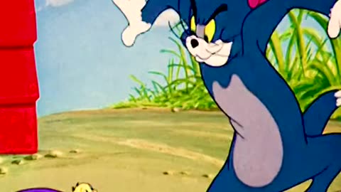 Tom and Jerry cartoon network shows