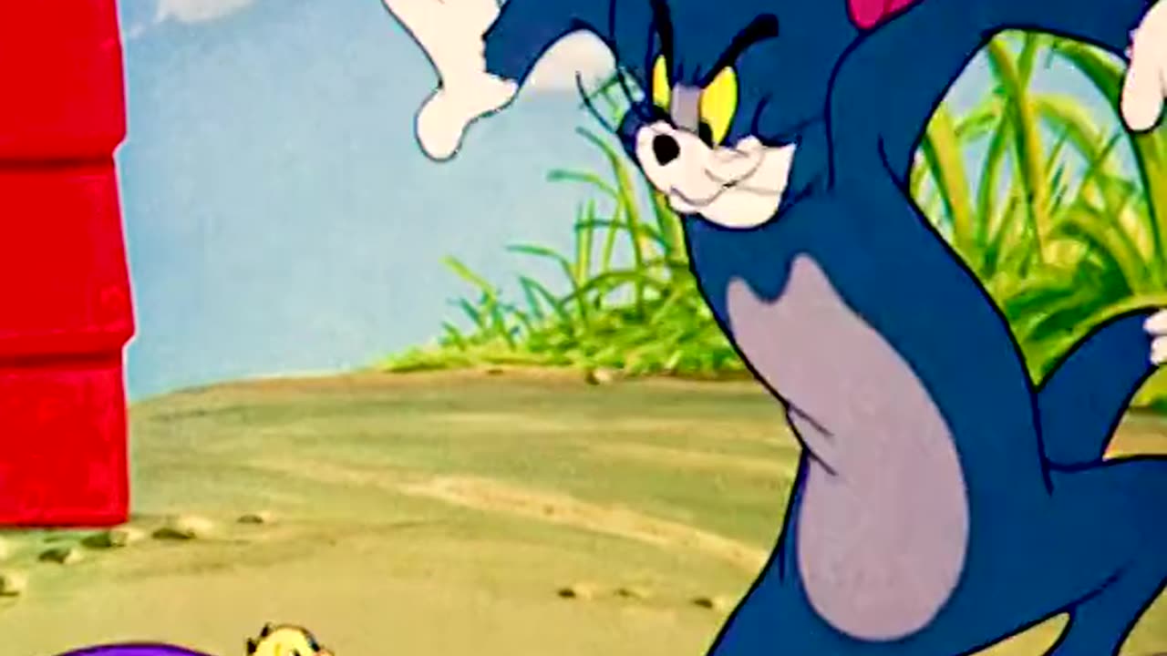 Tom and Jerry cartoon network shows