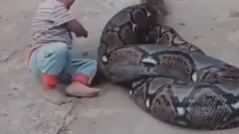 A little boy is playing with a big snack