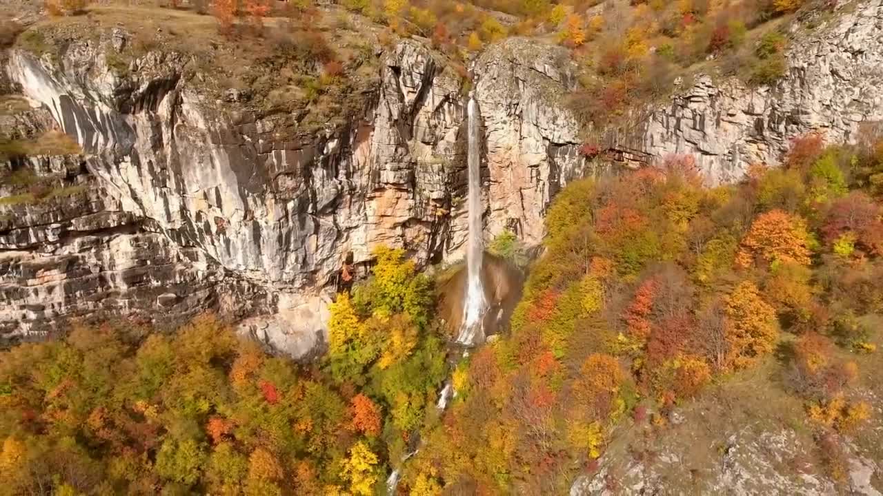 Enchanting Autumn Forests with Beautiful Piano Music