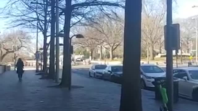 WH Visitor Center 2 Year Update - Still No Sleepy