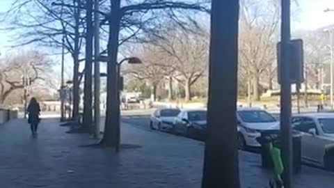 WH Visitor Center 2 Year Update - Still No Sleepy