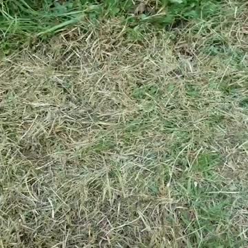 Prepare The Ground for a Garden Bed Part 2