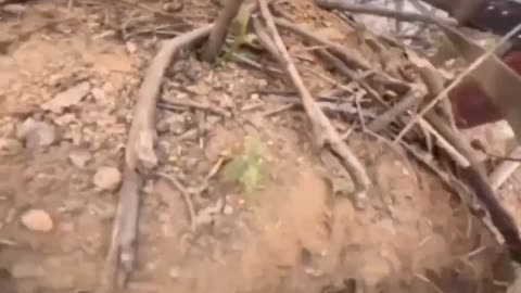 Video from the front. Ukrainian troops are moving forward.