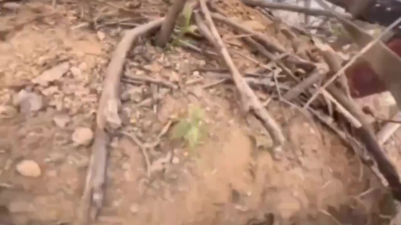 Video from the front. Ukrainian troops are moving forward.