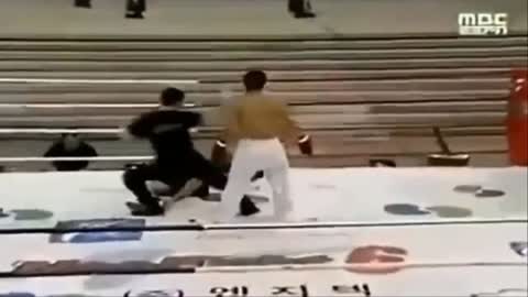 Top 10 Best Kick Knockouts Ever in MMA