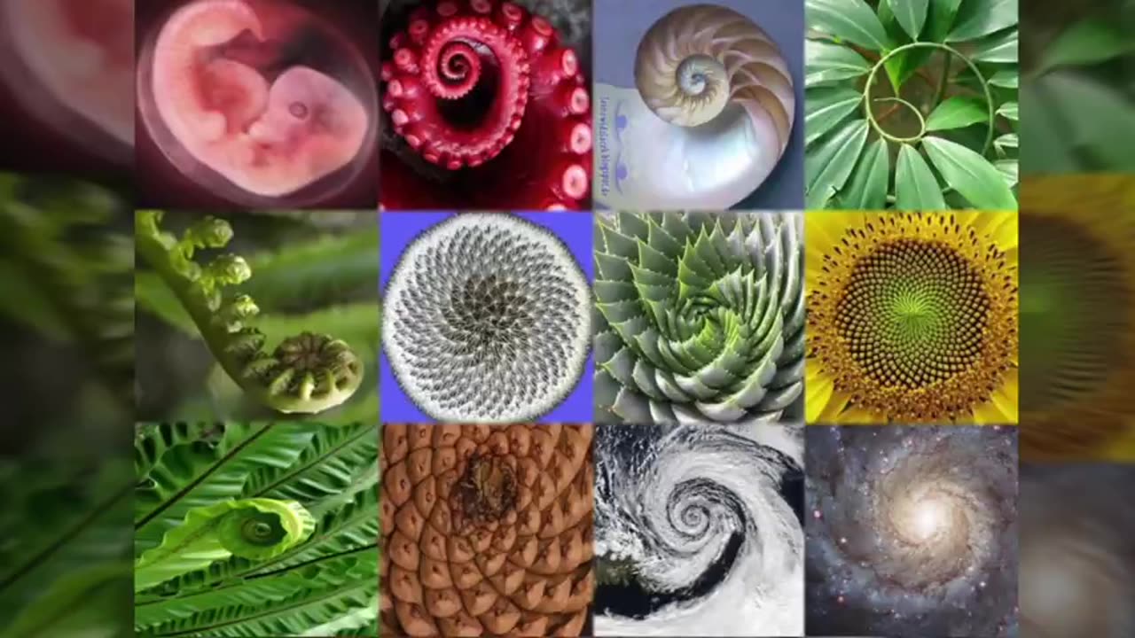 How Sacred Geometry Is Embedded In Your DNA - Secrets Of Geometric Art by Dearing Wang