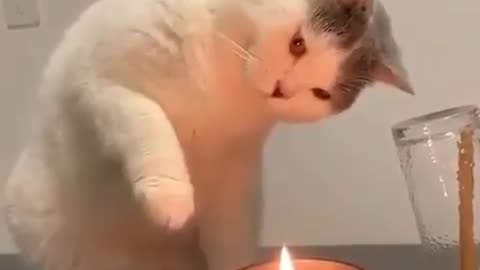 First time experience with candles 🕯 fire 🔥