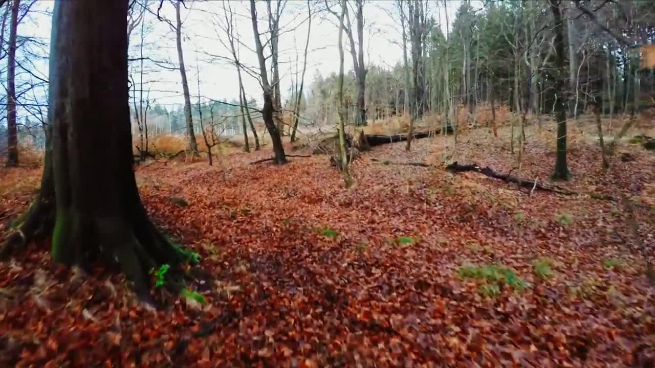 Danish nature