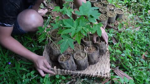 Make a pumpkin rig on the pond on a rainy heavy day, Revealing Duong private life. Primitive Skills