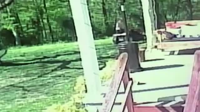 Man Falls Off Lawnmower While Trying to Kick Swing on Tree