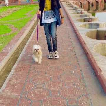 Girl now happy after new dog