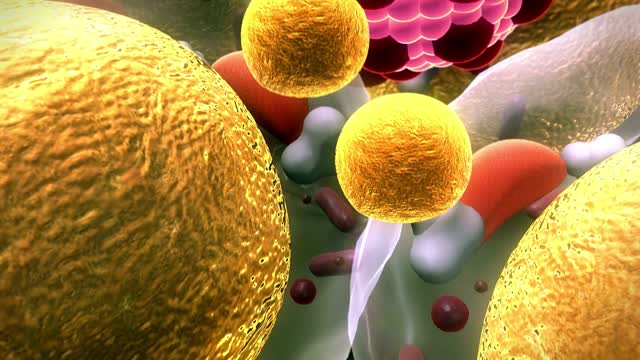 How To Use A Smoothie Diet To Burn fat Cell