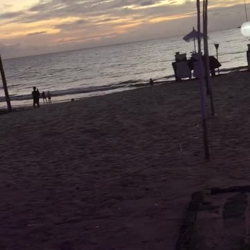 Resto blue marlin & bech