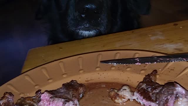 Steak for Cash