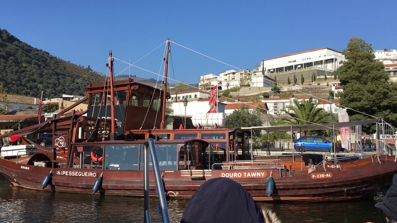 Boat Tour on Douro River (Pinhao, Alto Douro, Portugal) 8