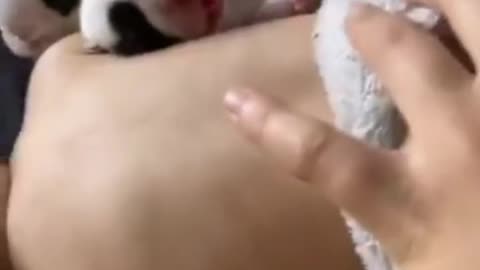 Cute puppy 🐕 and cute baby 💓 sleeping together