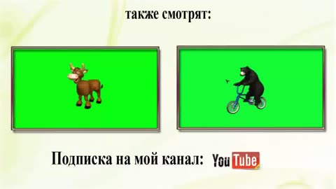 Собака на зелёном фоне.(Chroma key Dog footage) (1)_mpeg1video