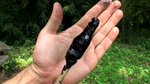 Making pine sap glue