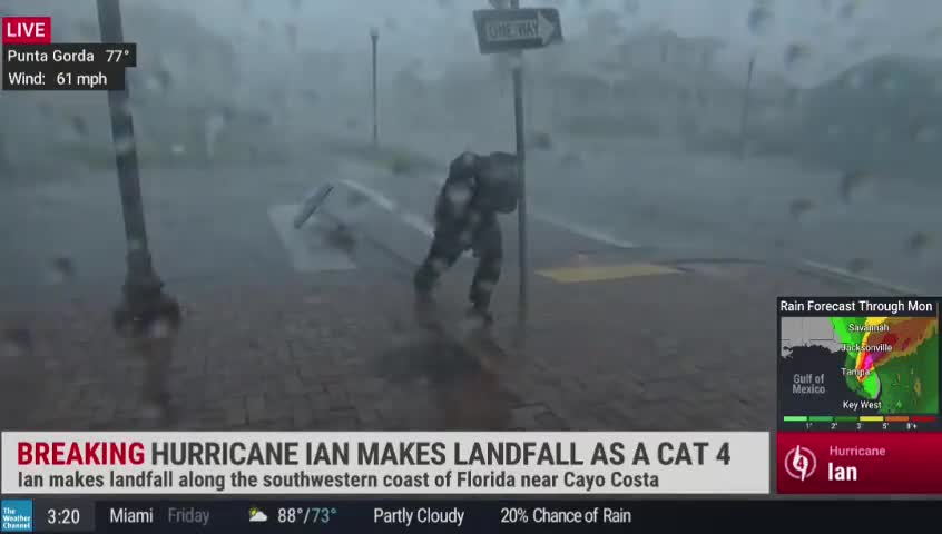 News Reporter Gets Hit By Flying Tree