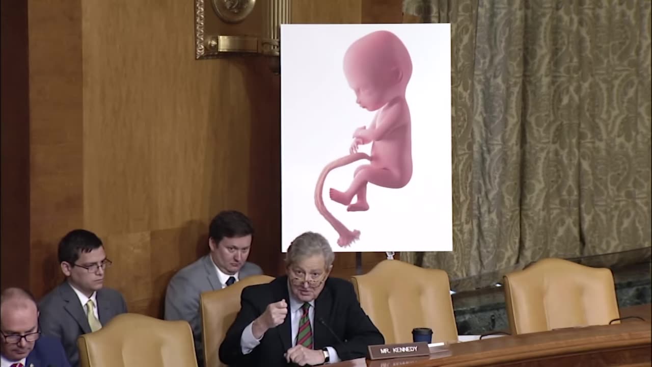 Democrats held a hearing on abortion.