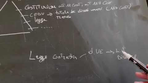 LA QUESTIONE DI LEGITTIMITA' COSTITUZIONALE. Fuori dal Virus n.320.SP