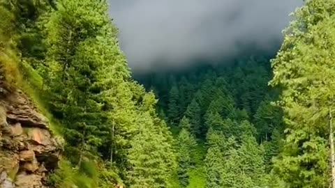 Beautiful Murree -Pakistan😍