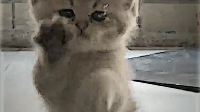 Aaaaaa cute