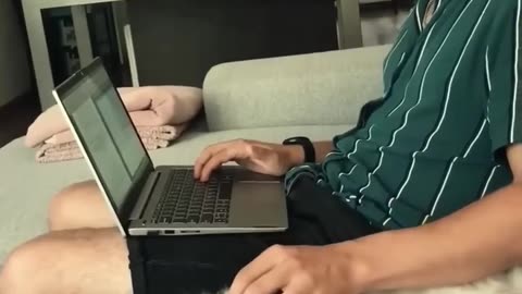 Funny 😂 cats video