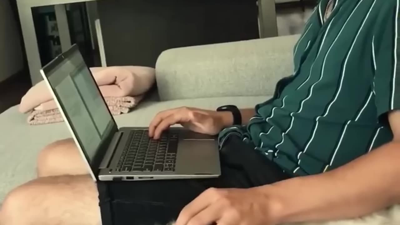 Funny 😂 cats video