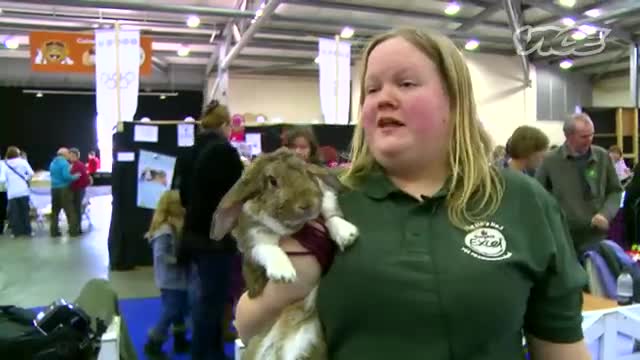 Cute Bunny Jumping Competition! | The Cute