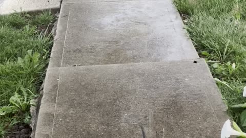 Claiming rainfall sounds