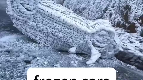 Incredible Video Footage Evrything Frozen In Zhufeng Mountain Of Shanxi Province, China (01.03.2024)