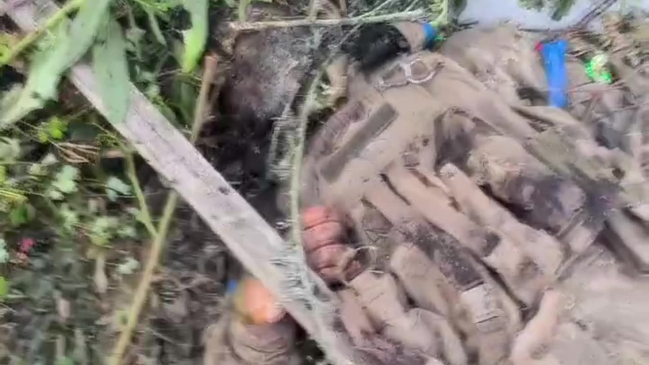 Massacre at Berkhovka; AFU threw infantry into a butchery assault on Russian positions