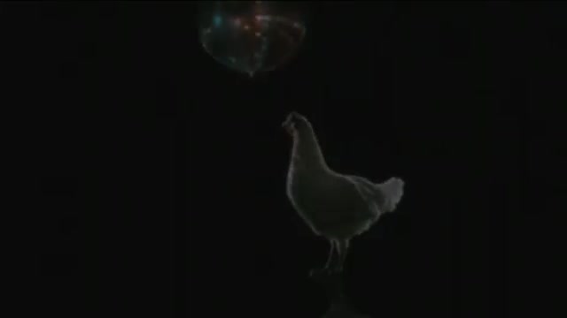 Chicken Song