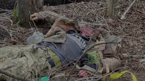 Artillery of PMC "Wagner" covers a group of Ukrainian soldiers in the landing near Bakhmut