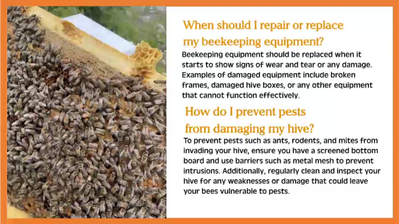 Hive Maintenance and Repair