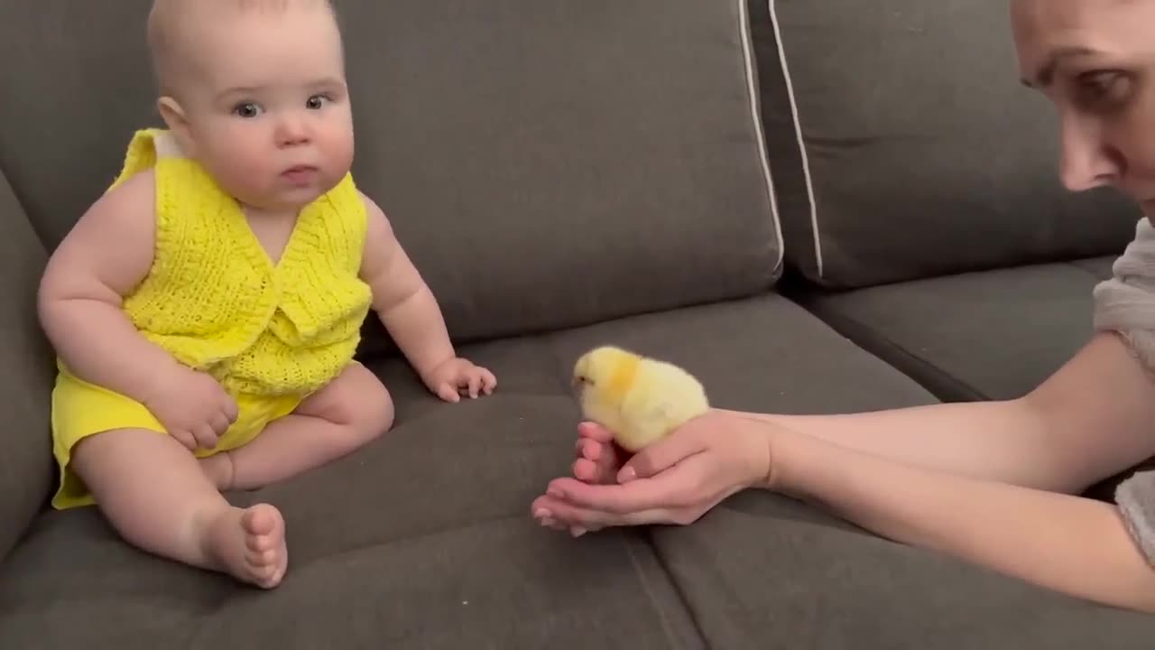 Baby Playing With Bird Kid