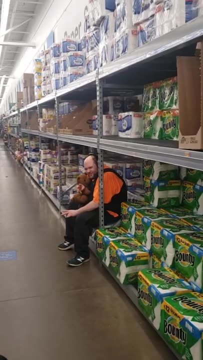 Red Dog (December 2021)