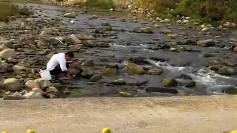 Duckling following puppy around!