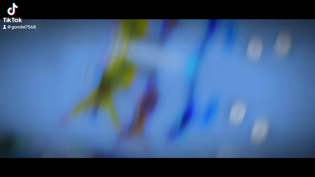 ๐๐ฎ๐๐ ๐๐ข๐๐๐จ ๐๐๐ข๐ญ๐please like and subscribe