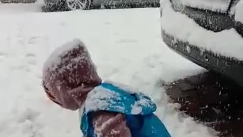 Snow enjoying