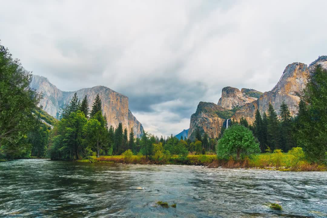 Relax Library: Video 49.River Flowing Birds singing. Relaxing videos and sounds