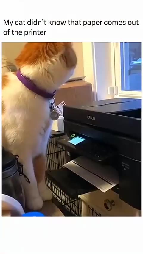 420's CLIP OF THE DAY JULY 11, 2024