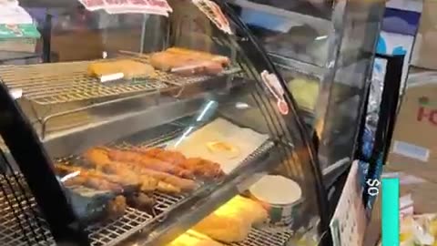 fatty demon pig - 2024 - November 15th part 003