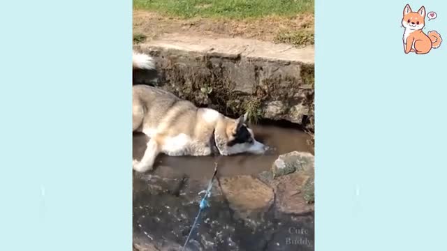 Funny Fails Compilation # 173