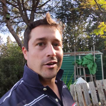 1MIN Gardening Tip! WEED Clippings Fertilizer - Stinky Stuff | Free Liquid Fertilizer #Short